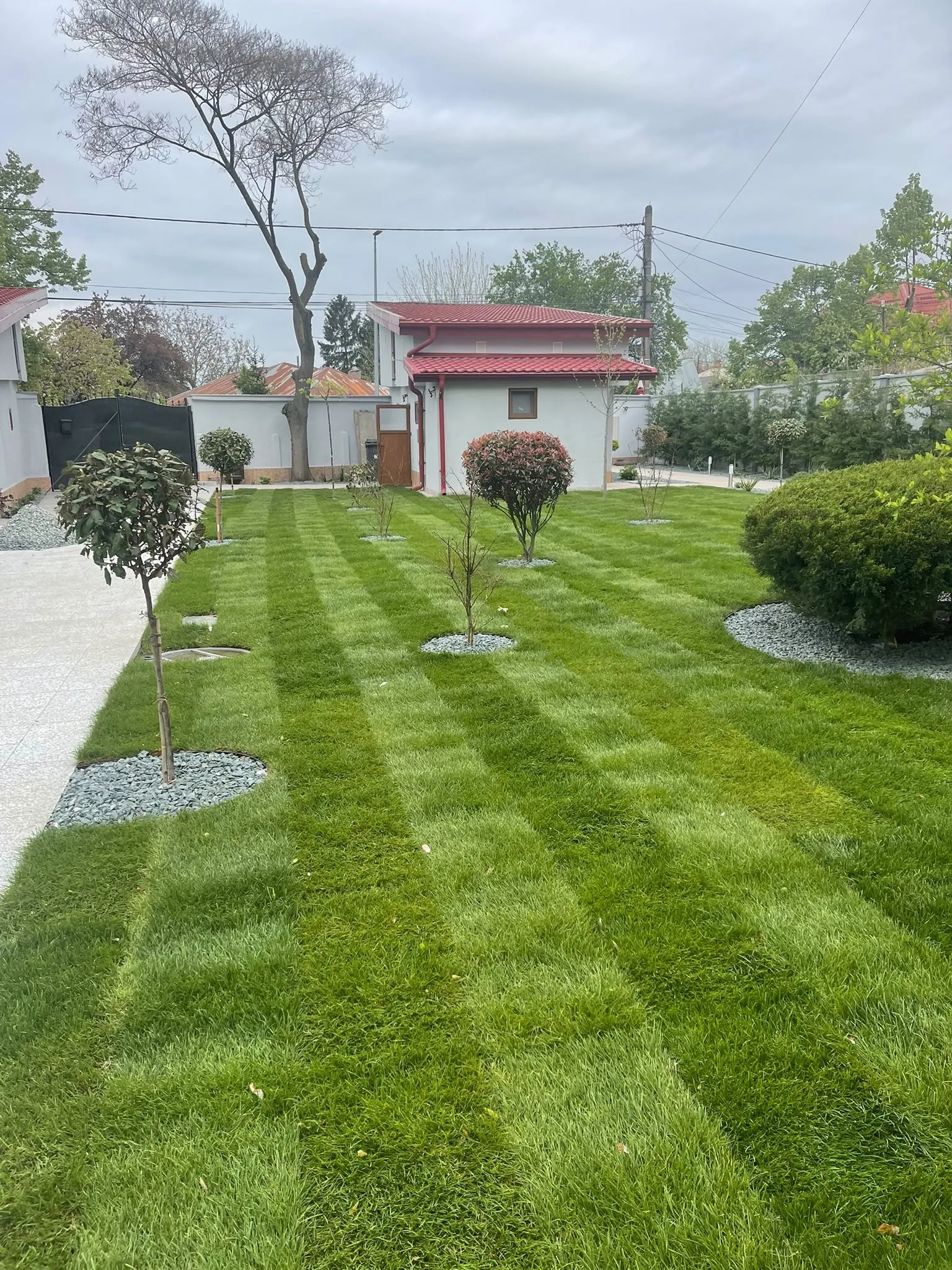 Gazon rulou cu arbori pe tulpină și cercuri de piatră