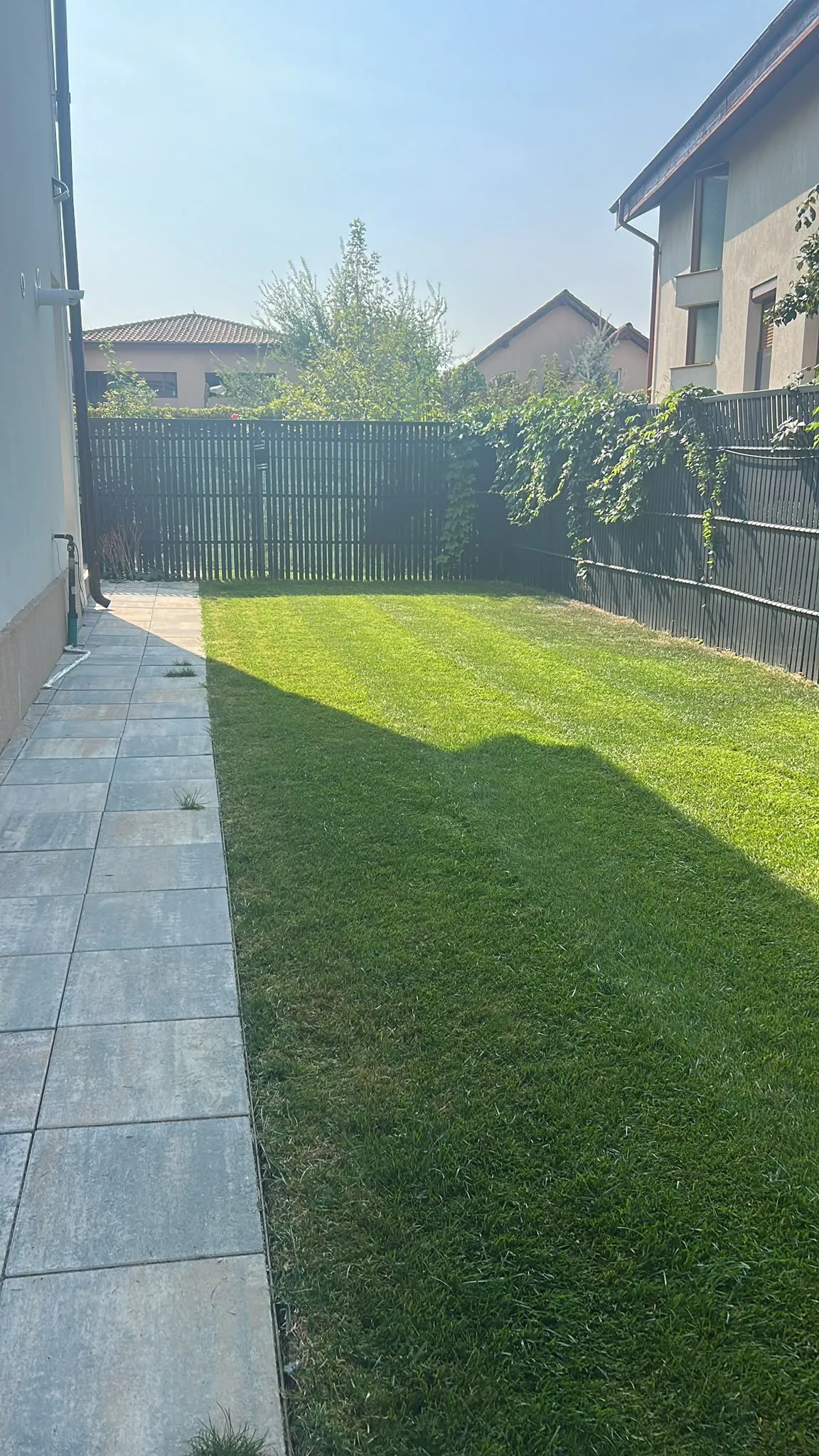 Gazon în curtea interioară